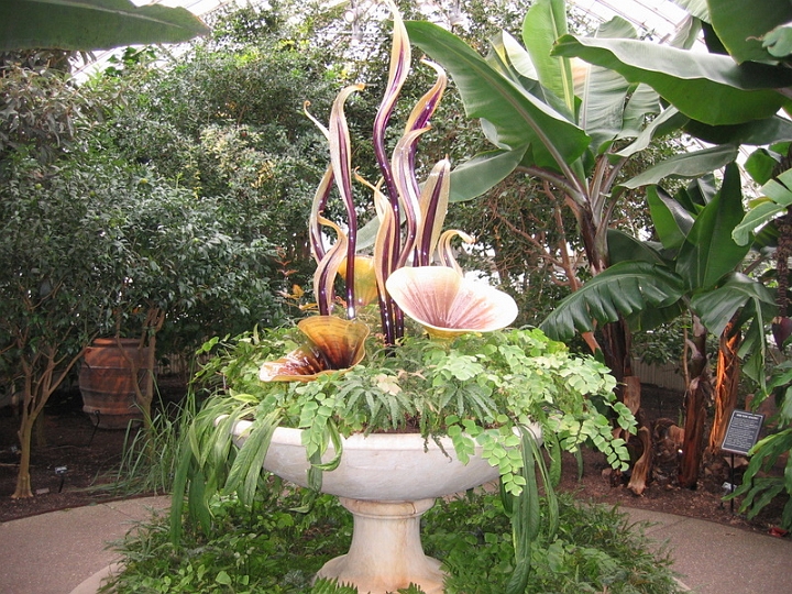 IMG_5707 Dale Chihuly art at Pittsburgh Phipps Conservatory.jpg